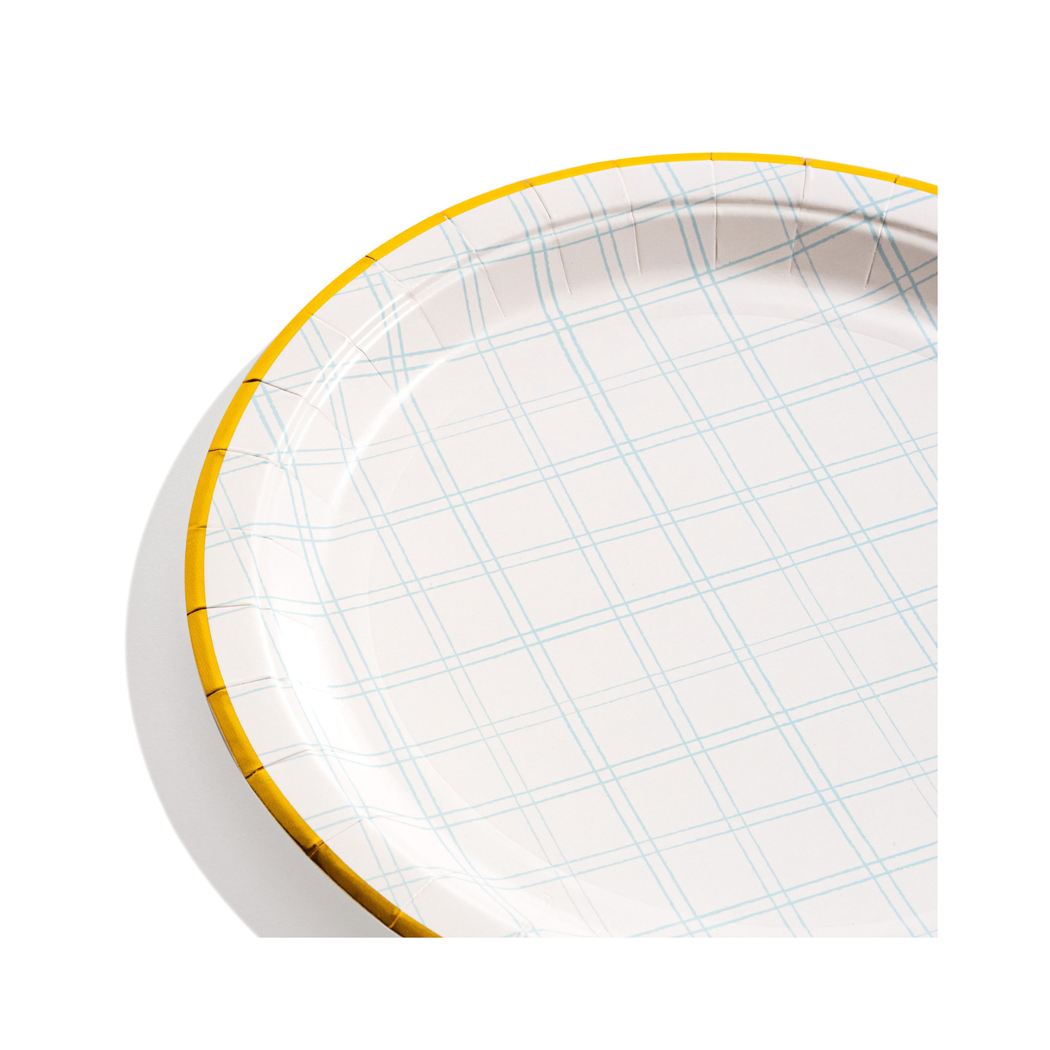 Blue Plaid Dinner Plates